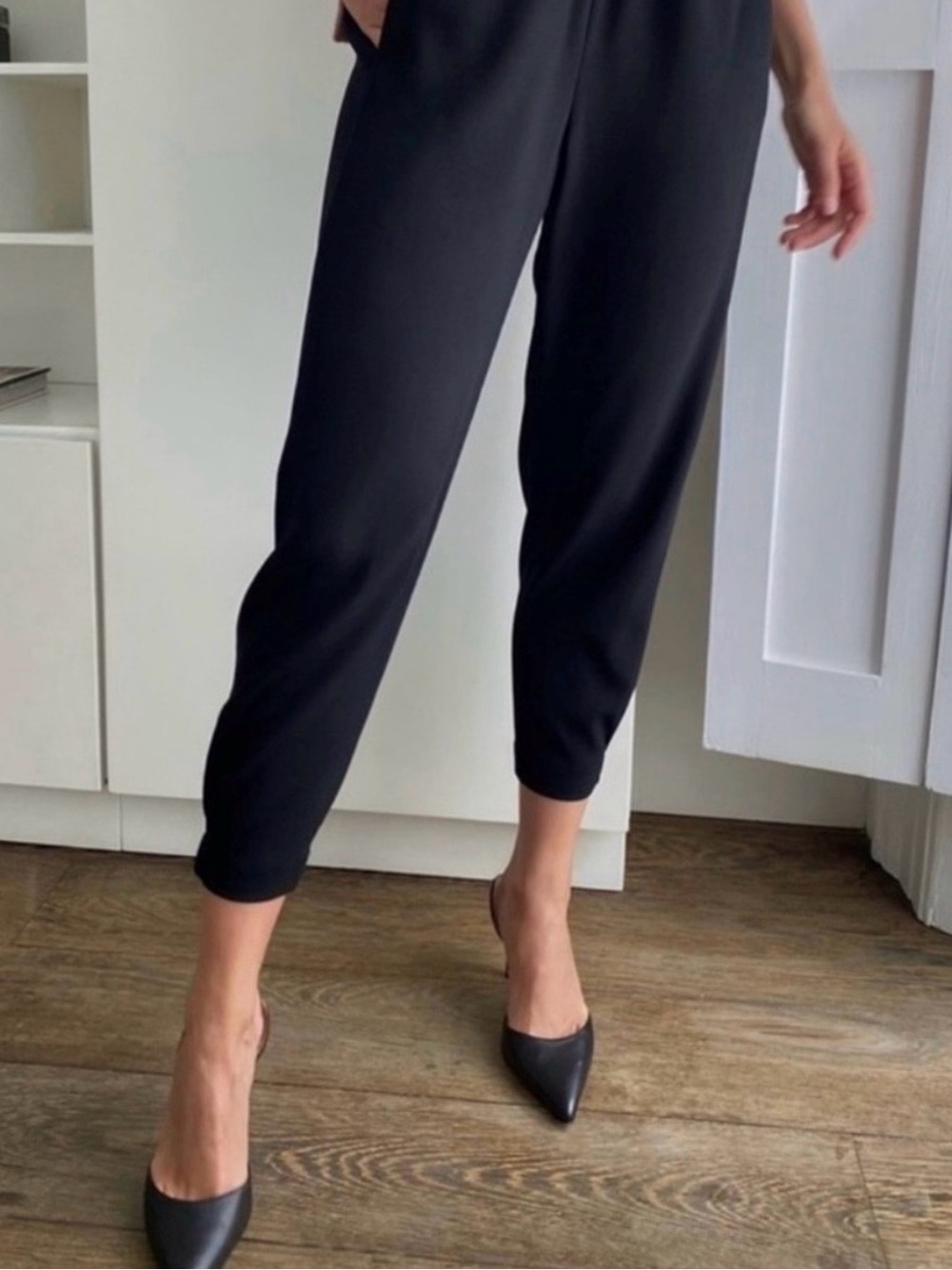 Aritzia Babaton Pants